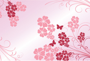 Fototapeta na wymiar floral rose et papillons