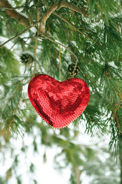 Heart, Valentine's Day 1