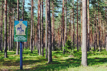 pine forest with propaganda poster
