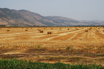Fototapeta premium Haystack