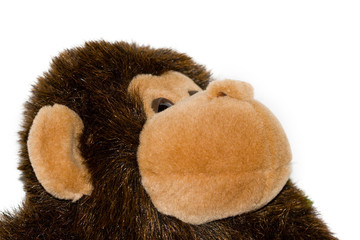Gorilla toy isolated on white