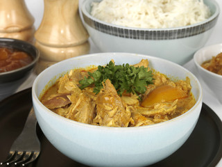 Turkey Curry with Rice
