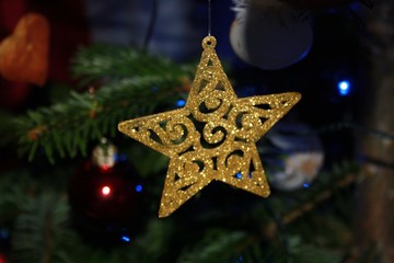 Stern am Weihnachtsbaum © thopi