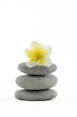 Obraz na płótnie Canvas frangiapani kwiat w stos Zen kamienie