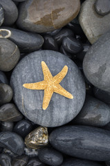 Fototapeta na wymiar Starfish with stones