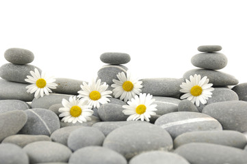 Stacked of Spa stones and daisies