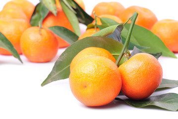 tangerines isolated on white