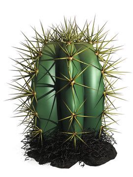 le cactus