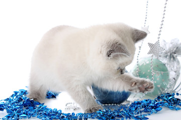 Kitten with New Year's toys.