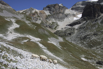 Circuit of Chavière, national park of Vanoise,  France