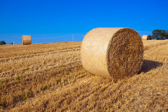 Meadow of hay bales against a blue sky