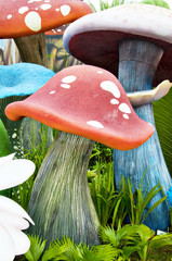 Mushroom in the garden