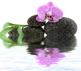 décor zen massage aquatique, orchidée, galets et bambou