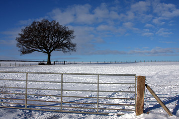 Snow landscape Worcestershire