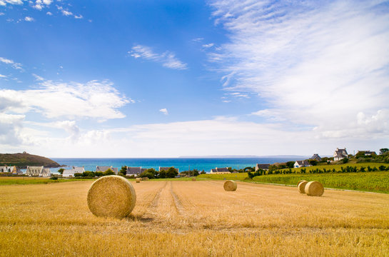 paysage de campagne maritime en bretagne