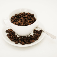 Kaffee Bohnen und Tasse