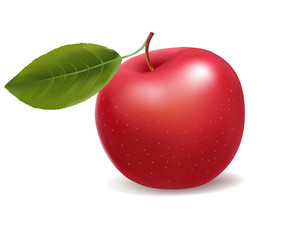 Red apple with two leaves. Vector.