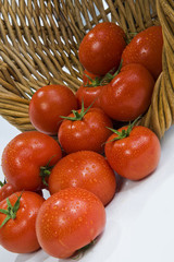 Tomaten im Marktkorb