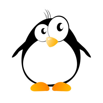 funny penguin with hair vector illustration