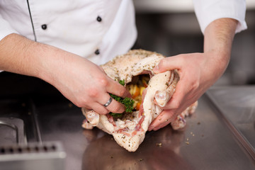 koch füllt eine gans