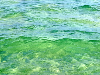 Emerald green water texture