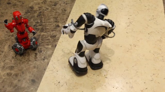 two radiocontrol toy robots on floor