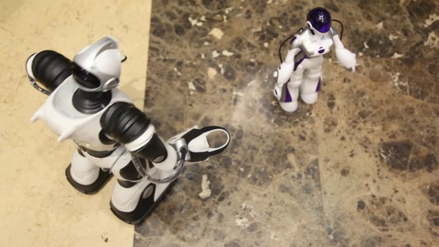 Pair of radiocontrol toy robots moves on floor