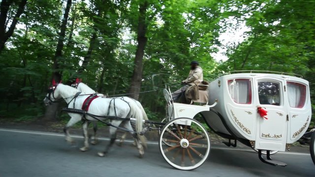 pair of horses draws carriage with coachman on road