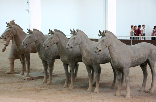 cavalli: di terracotta