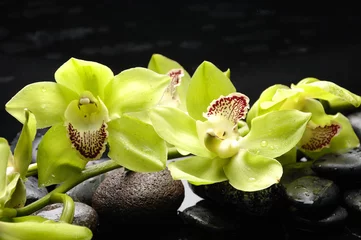 Keuken spatwand met foto Wellnessconcept met zensteen en orchidee © Mee Ting