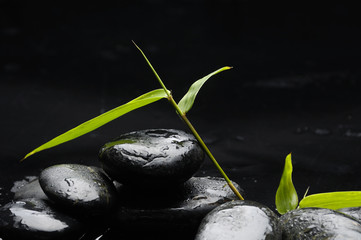 Fototapeta na wymiar Zen stones and bamboo in water- asia style