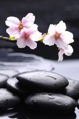 Stacked therapy stones with water drops and cherry tree branch