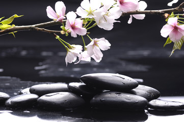 Naklejki  therapy stones with cherry flowers