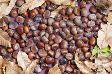Castañas I