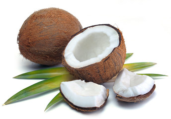 Coconut with leaves © nikitos77