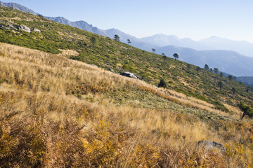 Sierra de Gredos