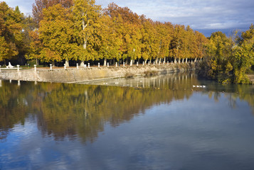 Fototapeta premium Rio Tajo en Aranjuez