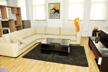 modern livingroom indoor
