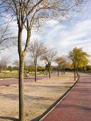 Pinto. Parque Juan Carlos I