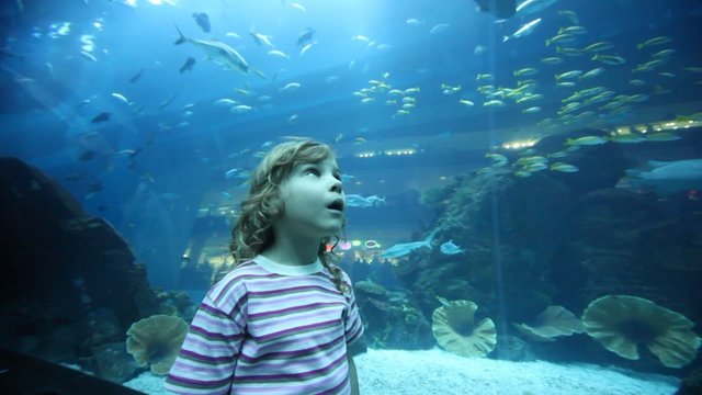 girl on close shot standing in oceanarium