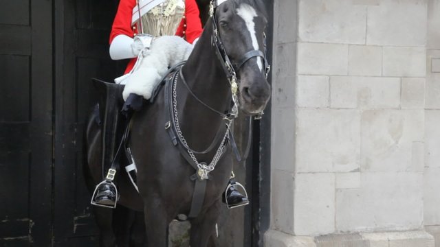 horse and unidentified guard in  uniform in London