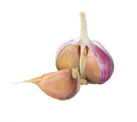 garlic