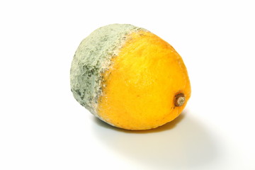 Citron bio moisi