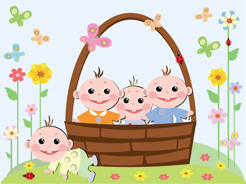 Basket with babies