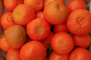 frutta clementine