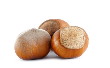 Hazelnuts