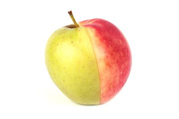 Ripe apple isolated on white background.