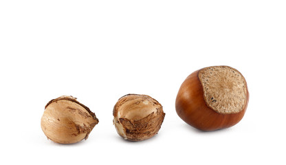 Hazelnuts