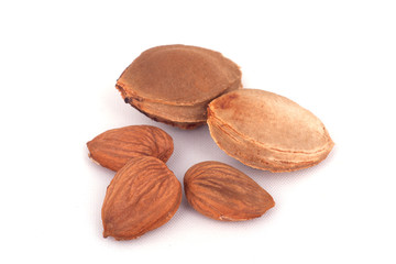 Apricot stone