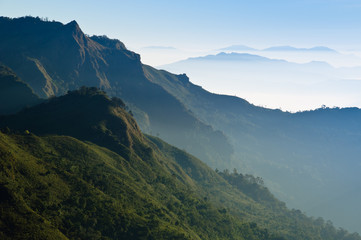 Fototapeta na wymiar Morning Mist w Tropical Mountain Range, Chiangrai, Tajlandia
